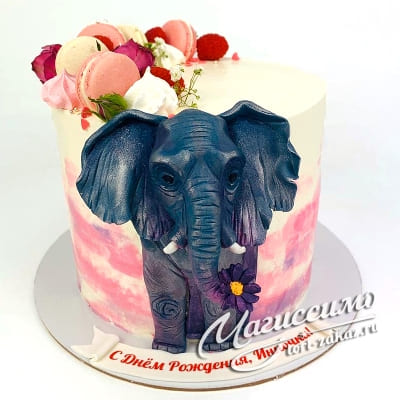 Торт со слоном